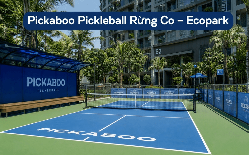 Pickaboo Pickleball Rừng Cọ – Ecopark